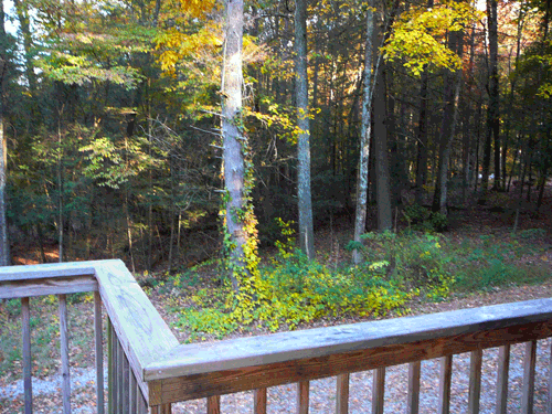 View from Upper Porch